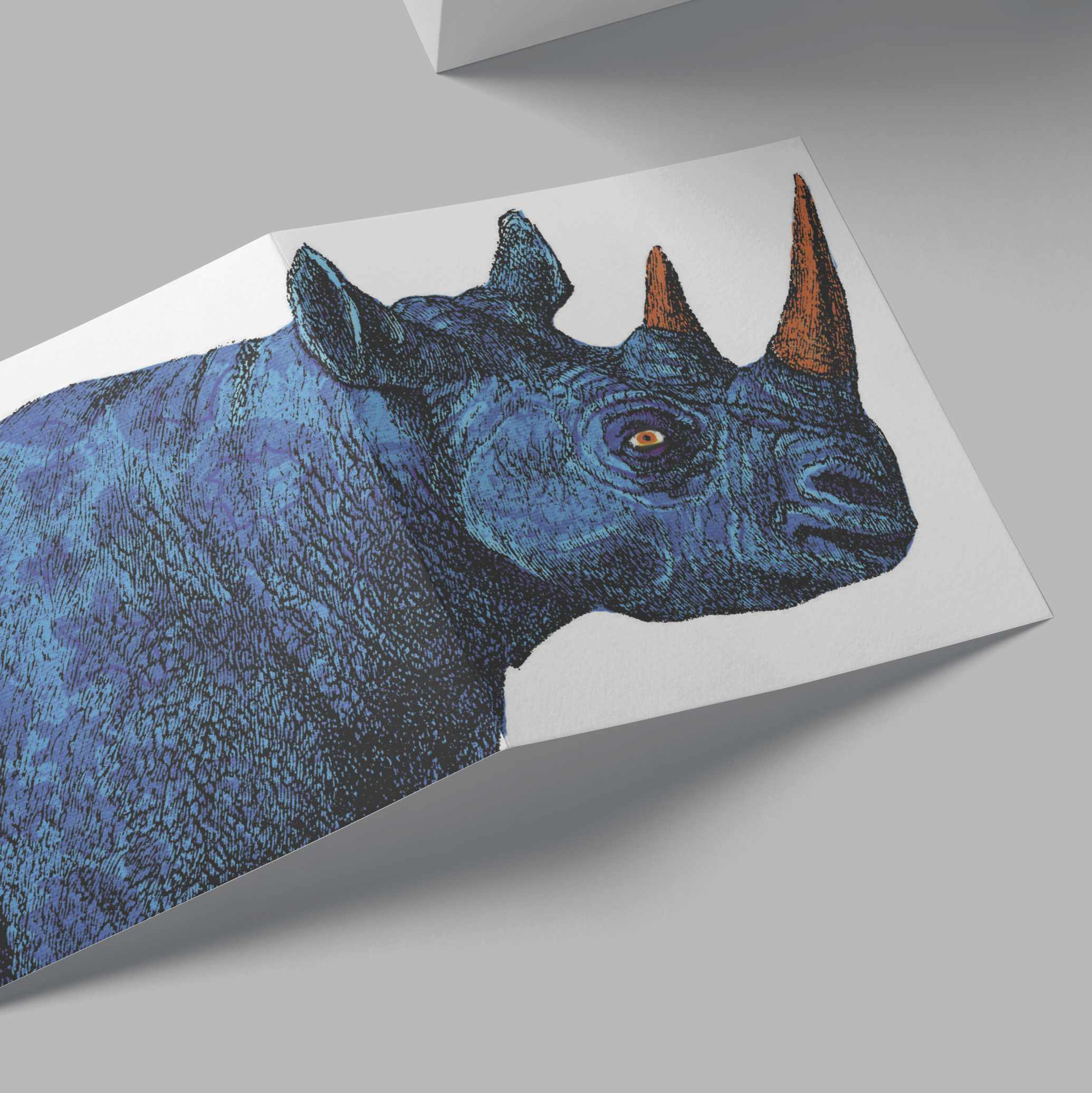 Blue Rhino Card